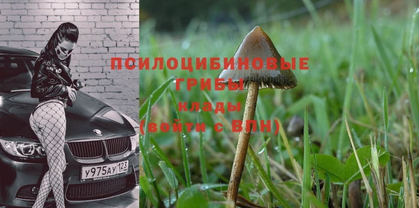ALPHA PVP Волоколамск