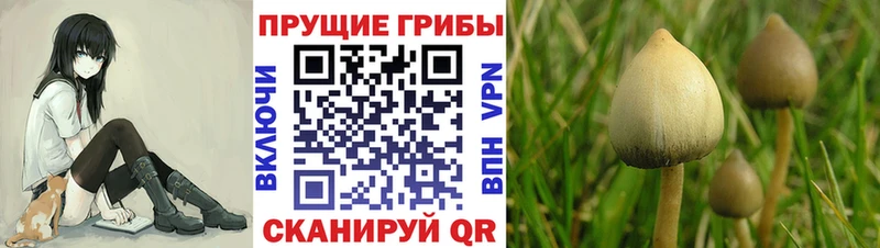 Псилоцибиновые грибы ЛСД  даркнет сайт  Инта 